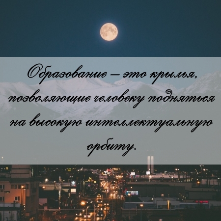 цитата об образовании и контрольной